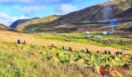 爆料禾丰美景视频在线播放,在线欣赏乡村田园风光